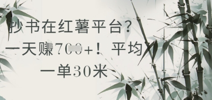 抄书在小红薯平台？平均一单30米，一天收益几张！-亿云网创