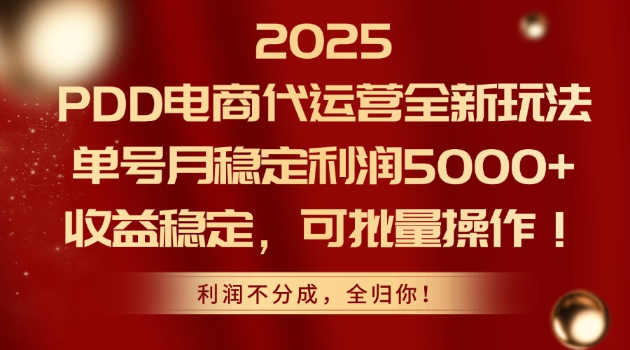 2025PDD电商代运营全新玩法，单号月稳定利润5000+，收益稳定，可批量操作-智云网创