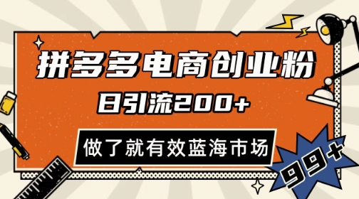 拼多多引流电商创业粉，日引200+，可矩阵放大，做了就有效【揭秘】-ACE云网创