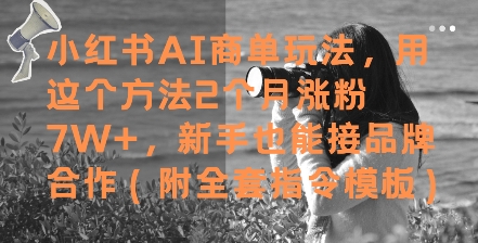 小红书AI商单玩法，用这个方法2个月涨粉7W+，新手也能接品牌合作(附全套指令模板)-无忧云创