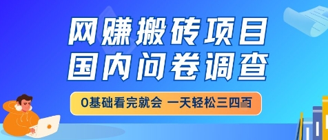 网创搬砖项目，国内问卷调查，小白轻松上手，一天三四张的也不难，干就完了【揭秘】-风云分享