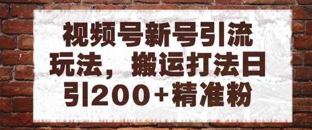 视频号新号引流玩法，搬运打法日引200+精准粉，可矩阵放大【揭秘】-智云网创