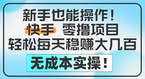 新手也能操作，快手零撸挣米，轻松每天挣2-5张，完全无成本-风云分享