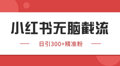 小红书截流同行客源，独家野路子获客玩法 日引200+暴力获客【揭秘】-浩然网创