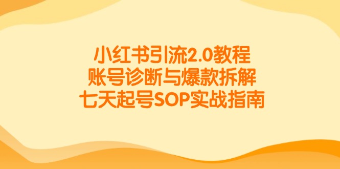小红书引流2.0教程，账号诊断与爆款拆解，七天起号SOP实战指南-共赢云网创