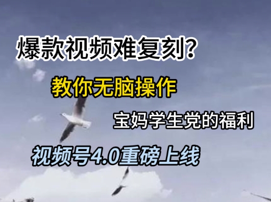 视频号4.0重磅上线，爆款视频难复刻？教你无脑操作宝妈学生党的福利【揭秘】-蔚蓝分享