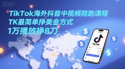 TikTok海外抖音中视频陪跑课程，TK最简单挣美金方式，1万播放挣8刀-云网创