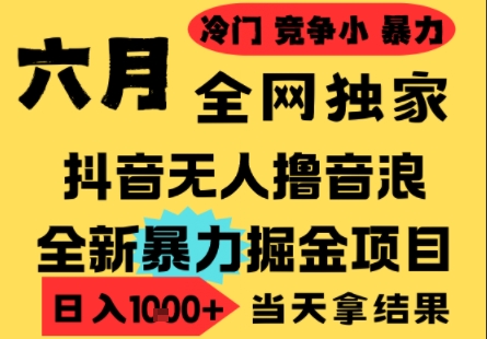 25年6月高爆抖音无人直播最新撸音浪掘金项目，小白可做，无脑日入1k+，门槛低可批量矩阵【揭秘】-苏宇云网创