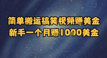 简单搬运搞笑视频挣美金，新手一个月入1k美金-网创云