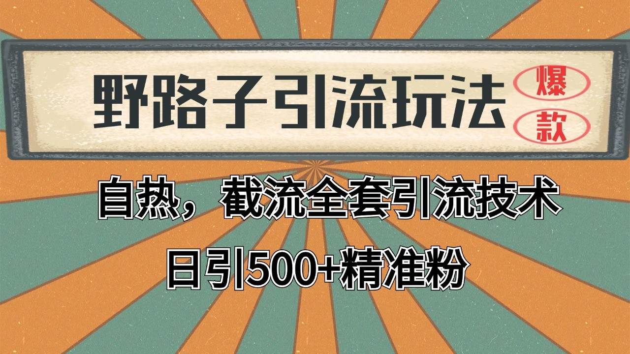 2024首发野路子引流玩法截流自热全平台打法，全自动引流【日引2000+精准客户】-创云资源分享创云网创