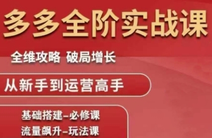 拼多多全阶实战课程，全维攻略，破局增长，从新手到运营高手-揭秘人网创
