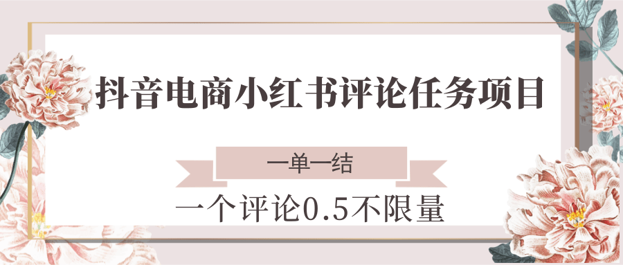 抖音电商小红书评论任务项目，一个评论0.5，一单一结 不限量-苏宇云网创