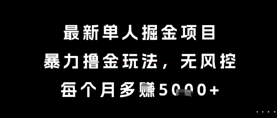 最新单人掘金项目，暴力撸金玩法，无风控，每个月多挣5k+【揭秘】-无忧云创