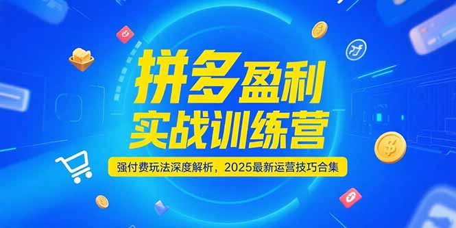 拼多多盈利实战训练营，强付费玩法深度解析，2025运营技巧合集-更新6月-起鸣助创社