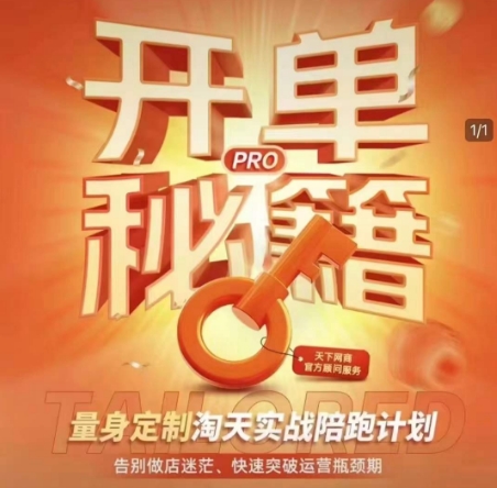 淘宝开单秘籍PRO，量身定制淘天实战陪跑计划，告别做店迷茫、快速突破运营瓶颈期(更新6月)-青年云网创