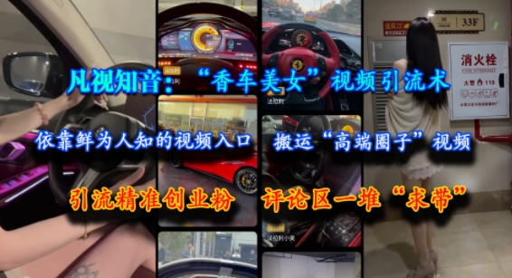 凡视知音：“香车美女”视频引流术，依靠鲜为人知的视频入口，搬运“高端圈子”视频，引流精准创业粉，评论区一堆“求带”-大柠檬网创