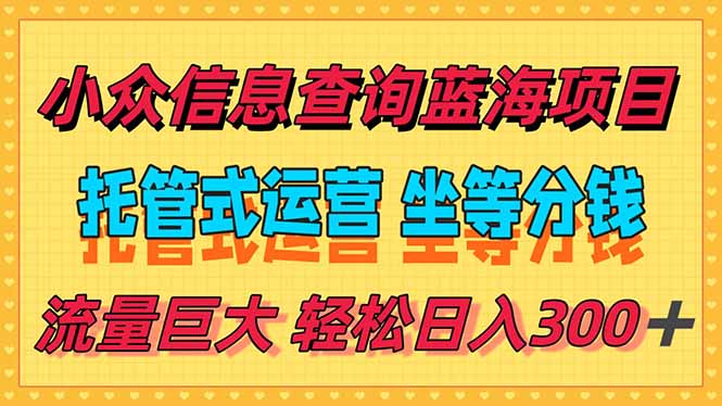 稳定日入300＋，小众信息查询蓝海项目，全程懒人式托管，解放你的时间-青年云网创