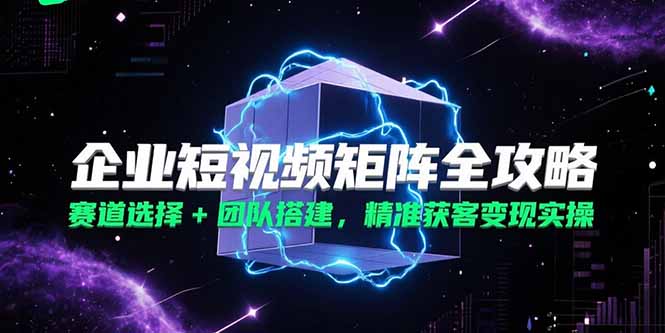 企业短视频矩阵全攻略，赛道选择+团队搭建，精准获客变现实操-星辰云网创