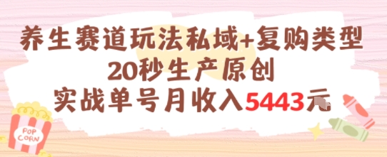 养生赛道玩法私域+复购类型，20秒生产原创实战单号月收入5k+-大柠檬网创