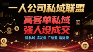 一人公司私域联盟，高客单私域，强人设成交，建私域 搞发售 广结盟 造势能-ACE云网创