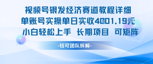 视频号银发经济赛道单账号实操单日实收1k+，小白轻松上手长期项目-小红花云网创