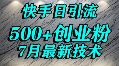 创业粉怎么打？快手精准引流创业粉，宝妈群体日进500+精准流量-ACE云网创