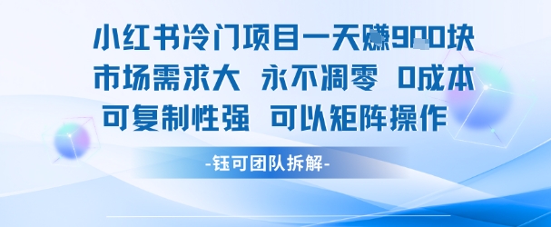 小红书冷门项目一天收益9张，市场需求大，0成本，可复制性强可以矩阵操作-仰望云网创