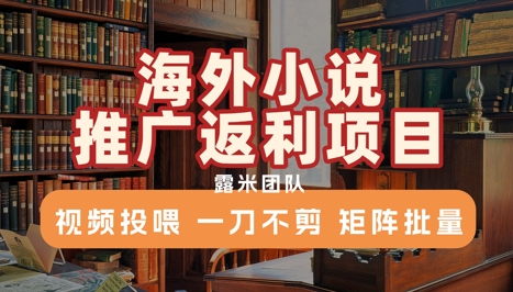 海外小说推广返利项目，视频投喂， 一刀不剪，矩阵批量-大柠檬网创