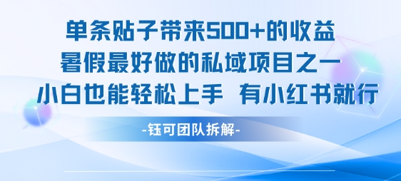 单条贴子带来5张的收益，暑假最好做的私域项目之一，小白也能轻松上手，有小红书就行-网创前栈