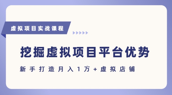 抓住虚拟项目各平台优势，新手轻松月入1W+(给出具体建议)-云网创