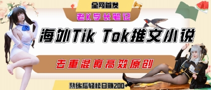 海外tiktok小说推文暴力项目，高停留率，高转化率，上手后一天搞顿饭钱不是问题-大宝网创