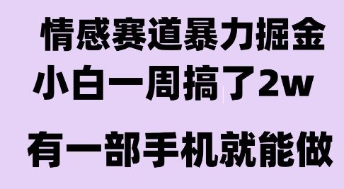 情感暴力掘金项目，新人操作一周挣了2W，长期稳定小白可做【揭秘】-网创云