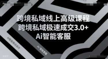 跨境私域线上高级课程，跨境私域极速成交3.0+Ai智能客服-大柠檬网创