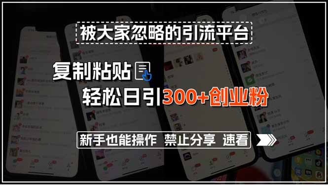 被大家忽略的引流平台，复制粘贴轻松日引300+创业粉，新手也能操作，禁…-91网创