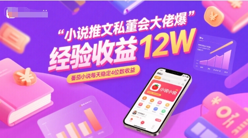小说推文私董会大佬爆单经验分享收益12W，番茄小说每天稳定4位数收益-星云网创