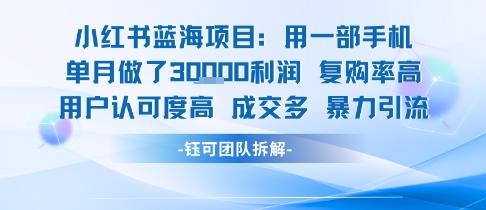 小红书蓝海项目，一部手机单月做了3W利润，小白也能月入过1W用户认可度高成交多-91网创