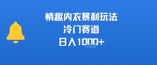 情趣内衣暴利玩法，冷门赛道，日入1k+-优优云网创