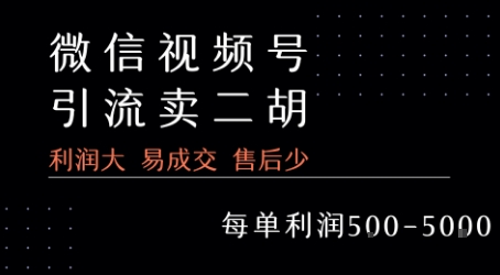 视频号卖二胡教程，利润大 易成交 售后少，一单利润5张+-云网创