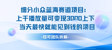 小众蓝海赛道项目：当天变现1k+适合新手操作 +适合长期玩-91网创