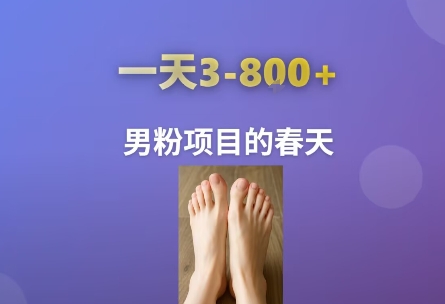 AI一键生成美女素材，一天收益3-8张，男粉项目的春天-91网创