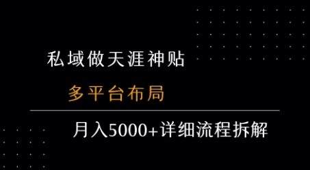 私域做天涯神贴 多平台布局 月入5k+详细流程拆解-云网创