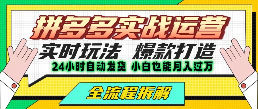 拼多多最新实战运营高投产：长久稳定项目，单店利润一天三位数-云网创