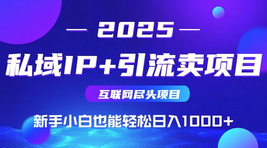2025网创尽头项目，私域IP+引流，新手小白也能在家日入1000+-创云资源分享创云网创