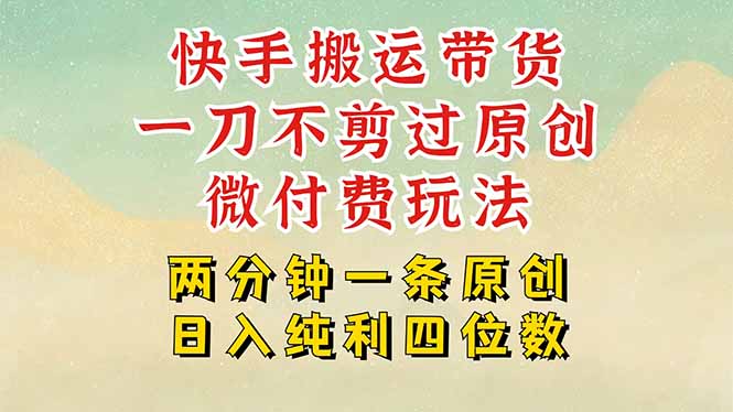 快手黑科技搬运带货，一刀不剪过原创，微付费投流玩法，轻松日入四位数…-星辰云网创