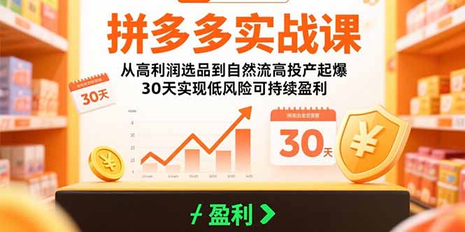 拼多多实战课：从高利润选品到自然流高投产起爆 30天实现低风险可持续盈利-大众云网创