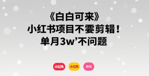 小白可来 小红书项目不需要剪辑 单月3w不是问题-Mot云网创