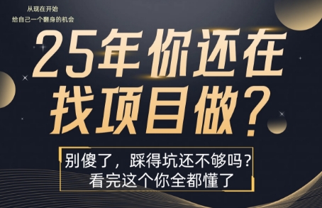 25年，你还在疯狂的找项目吗？别傻了，看完这个你都懂了【揭秘】-起鸣助创社