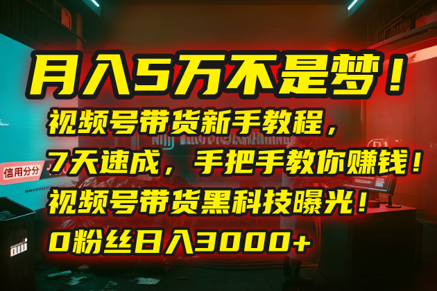 月入5万不是梦！视频号带货新手教程，7天速成，手把手教你赚钱！视频号…-易创网