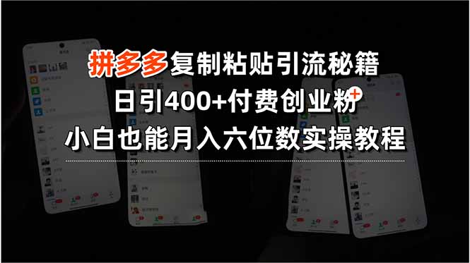 拼多多复制粘贴引流秘籍，日引400+付费创业粉，小白也能月入六位数实操…-西遇屋