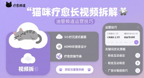 猫咪疗愈长视频拆解 &油管频道运营技巧-参一网创